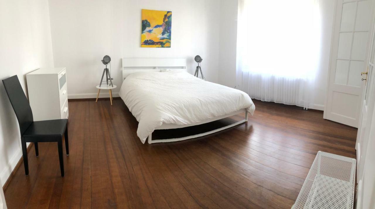 Ferienwohnung Grand 3 Pieces Stationnement Gratuit Dans La Rue Straßburg Exterior foto